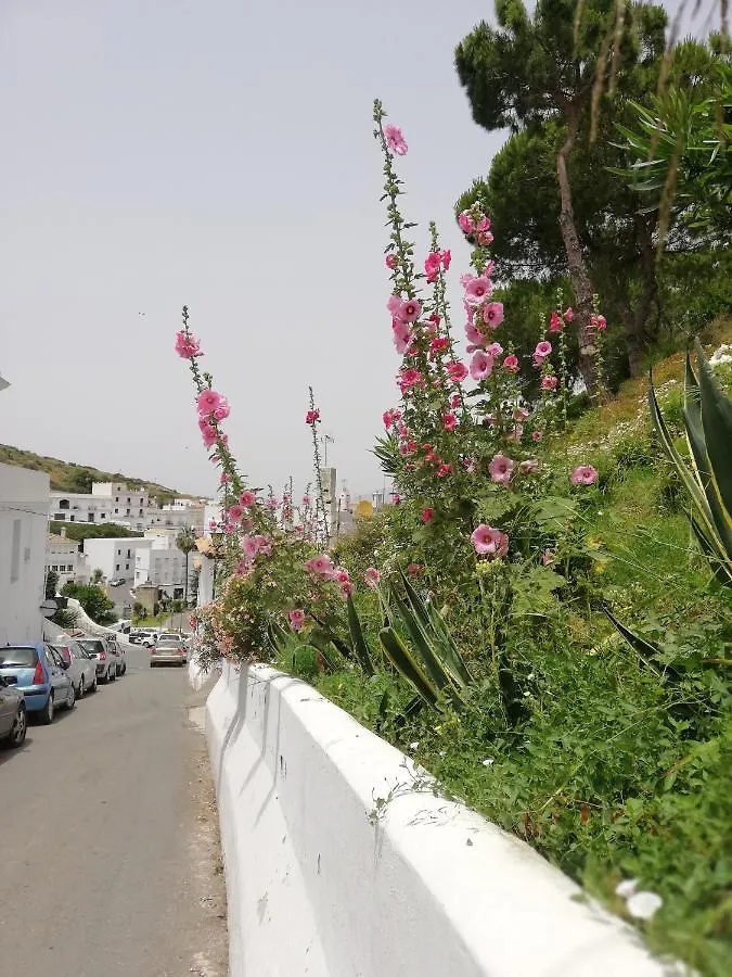 Apartamento El Aljibe de Cobarrubias Vejer de la Frontera